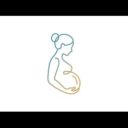 Pregnancy Clarity Logo